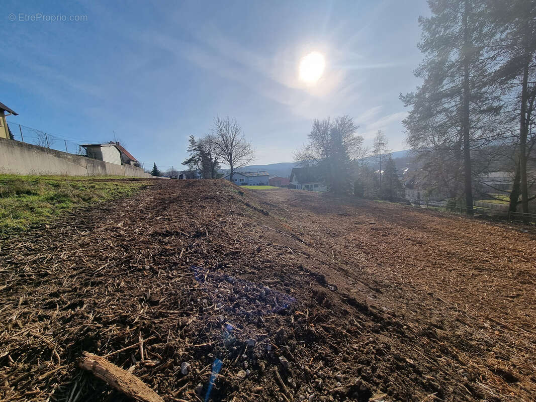 Terrain à OBERHASLACH