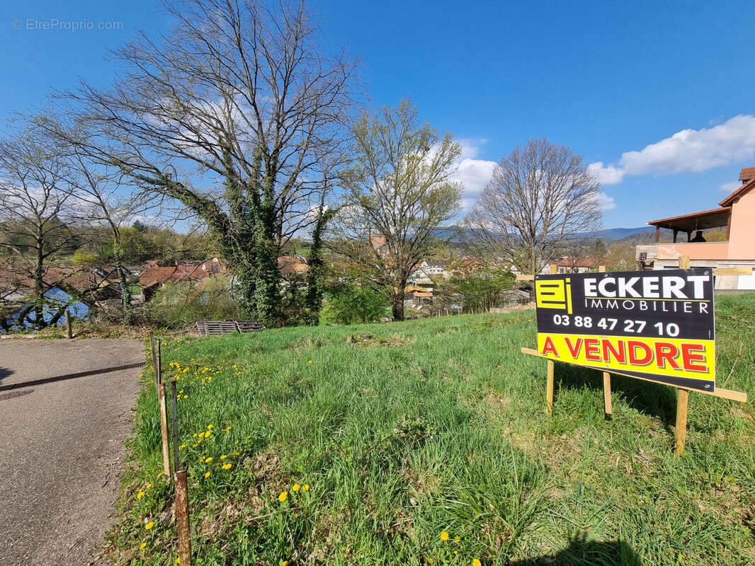 Terrain à NIEDERHASLACH