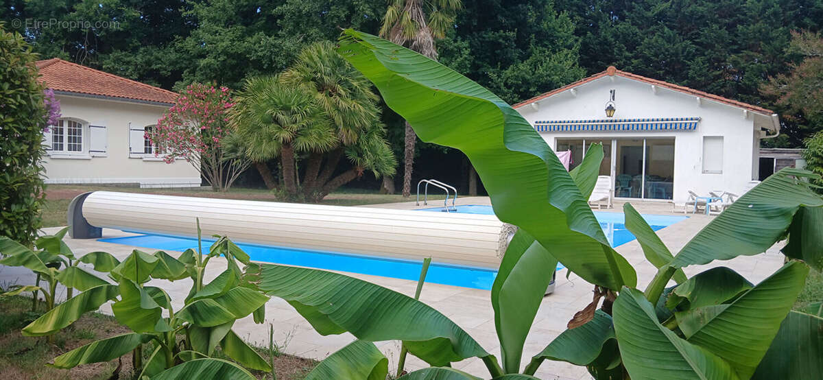 Maison à SAINT-SULPICE-DE-ROYAN