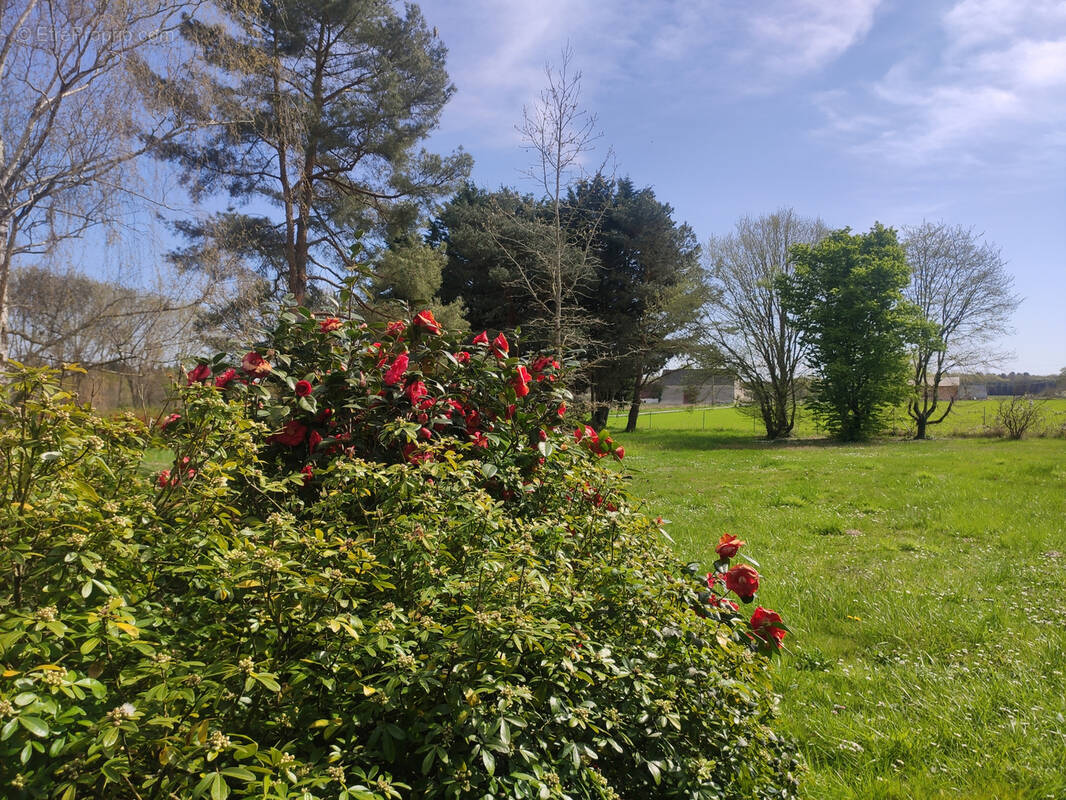 Maison à LAILLY-EN-VAL