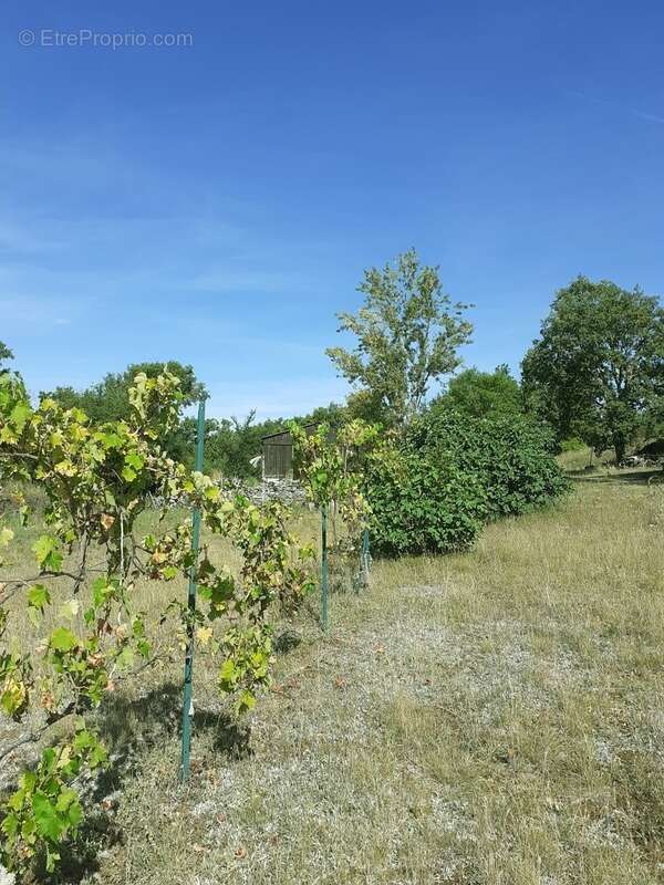 Maison à LIMOGNE-EN-QUERCY