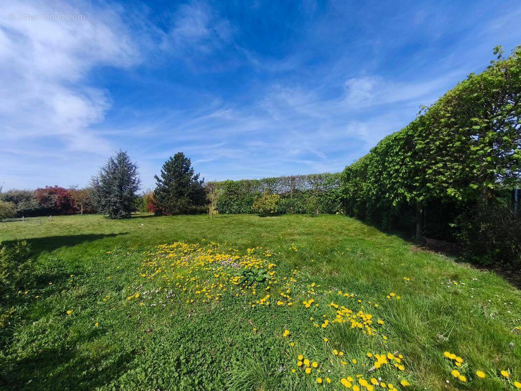 Terrain à THUMERIES