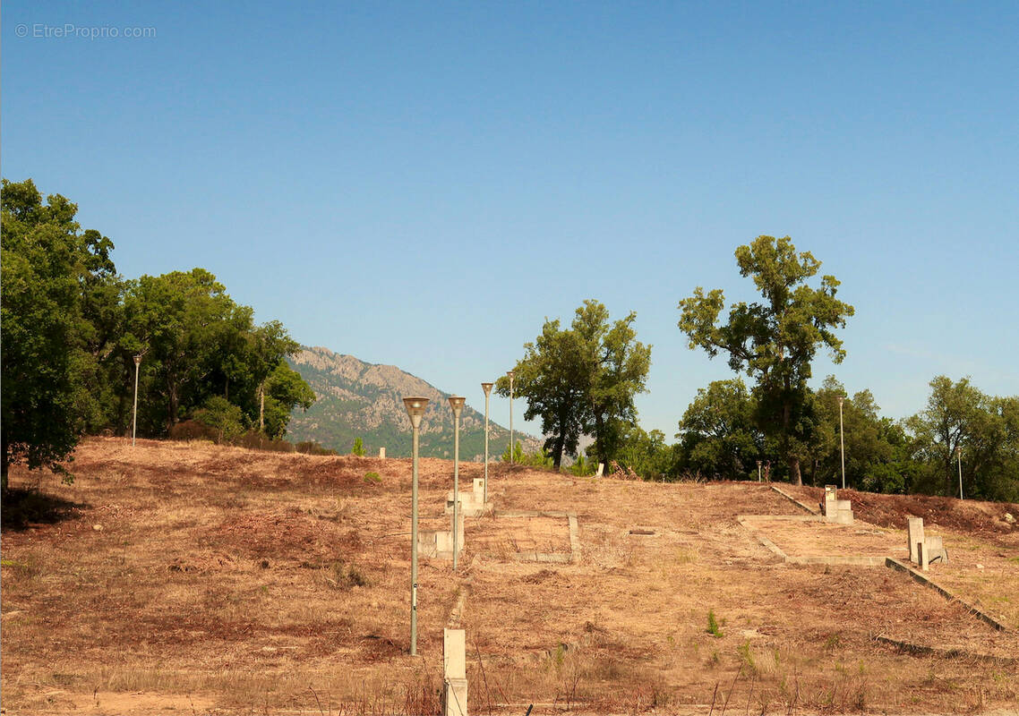 Terrain à CORTE
