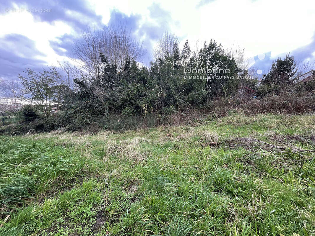 Terrain à BIDART