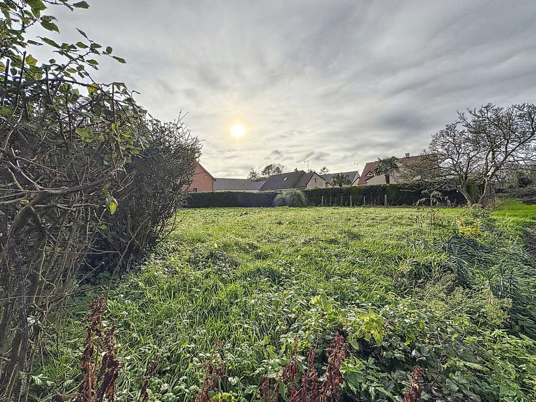 Terrain à SAINT-CLAIR-SUR-L'ELLE