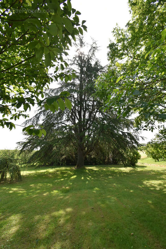 Maison à TOURNON-D&#039;AGENAIS