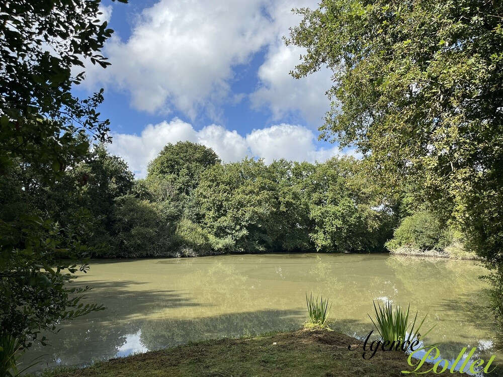 Maison à CHATILLON-SUR-LOIRE