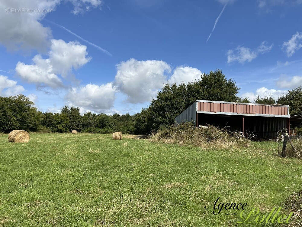 Maison à CHATILLON-SUR-LOIRE