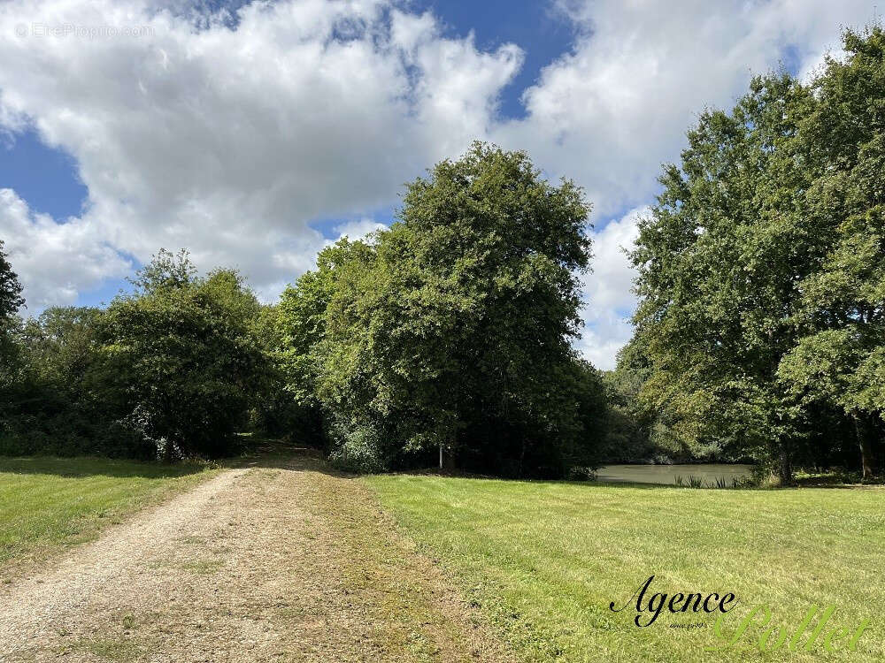 Maison à CHATILLON-SUR-LOIRE