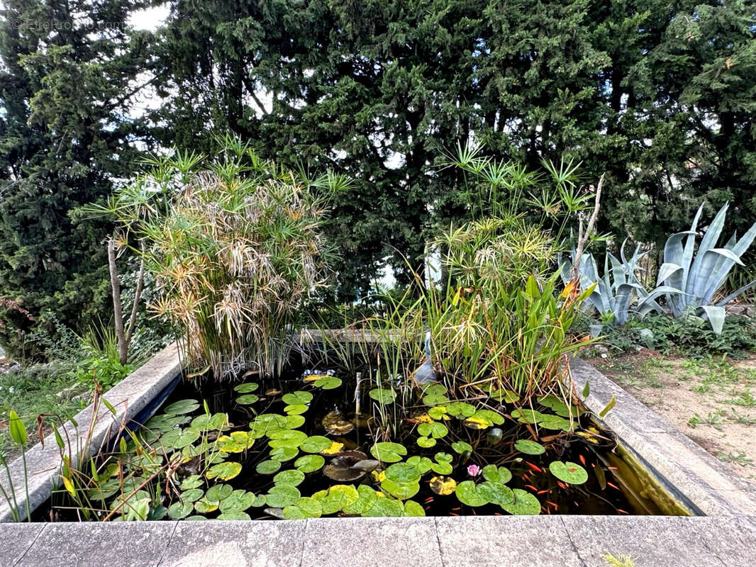 Maison à DRAGUIGNAN