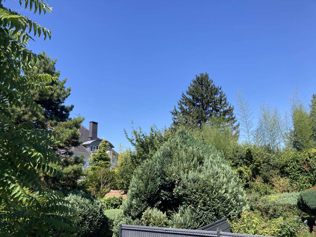 Appartement à RIEDISHEIM