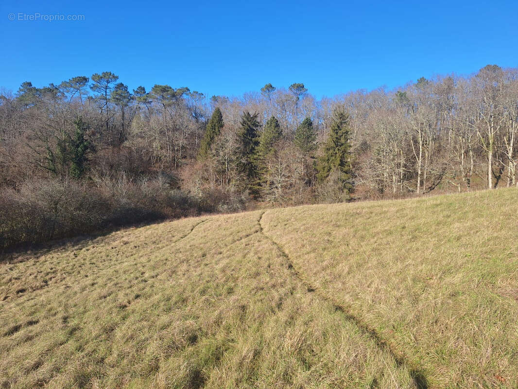 Terrain à MAZEYROLLES