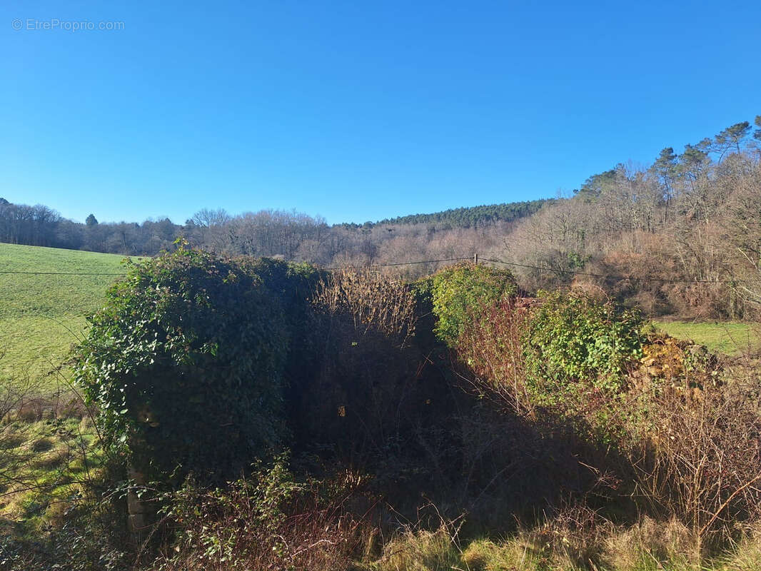 Terrain à MAZEYROLLES