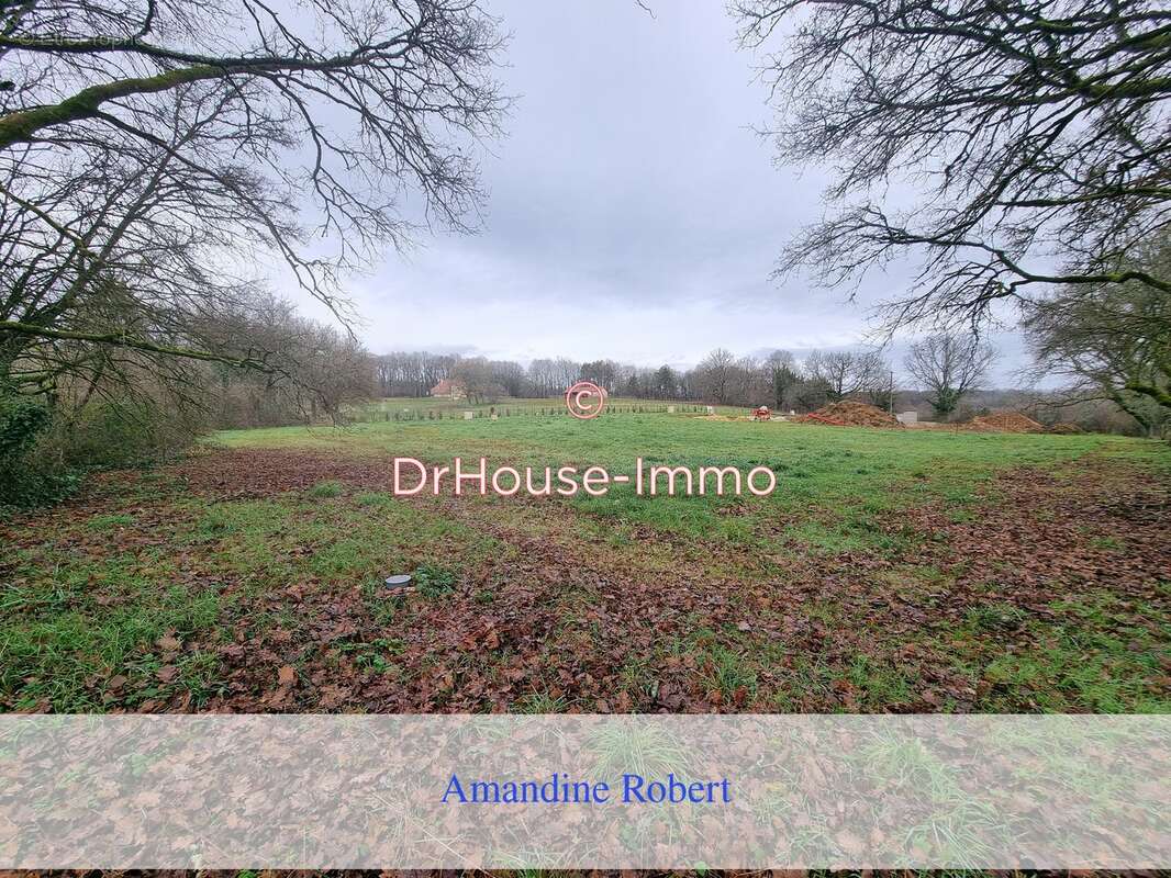 Terrain à SAINTE-ALVERE