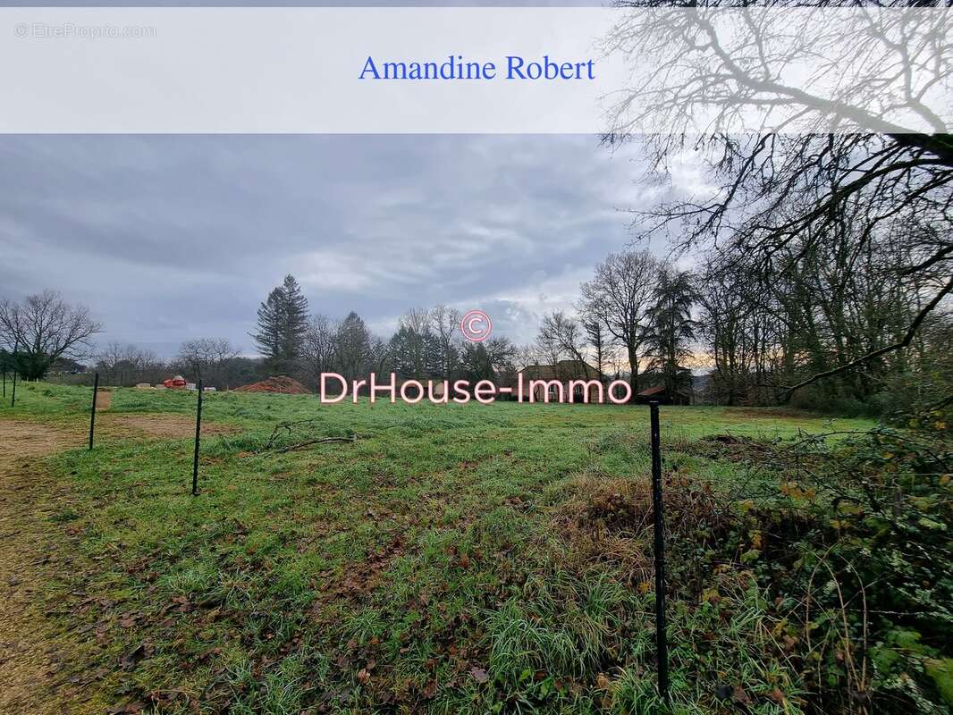 Terrain à SAINTE-ALVERE