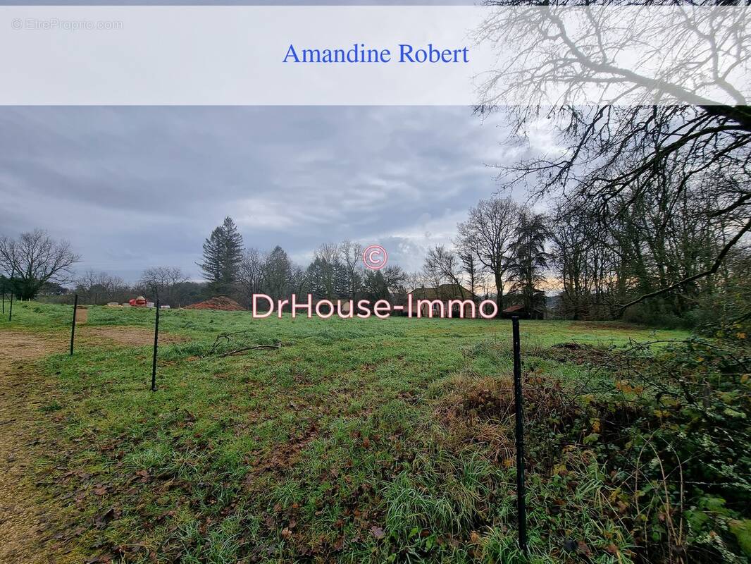 Terrain à SAINTE-ALVERE