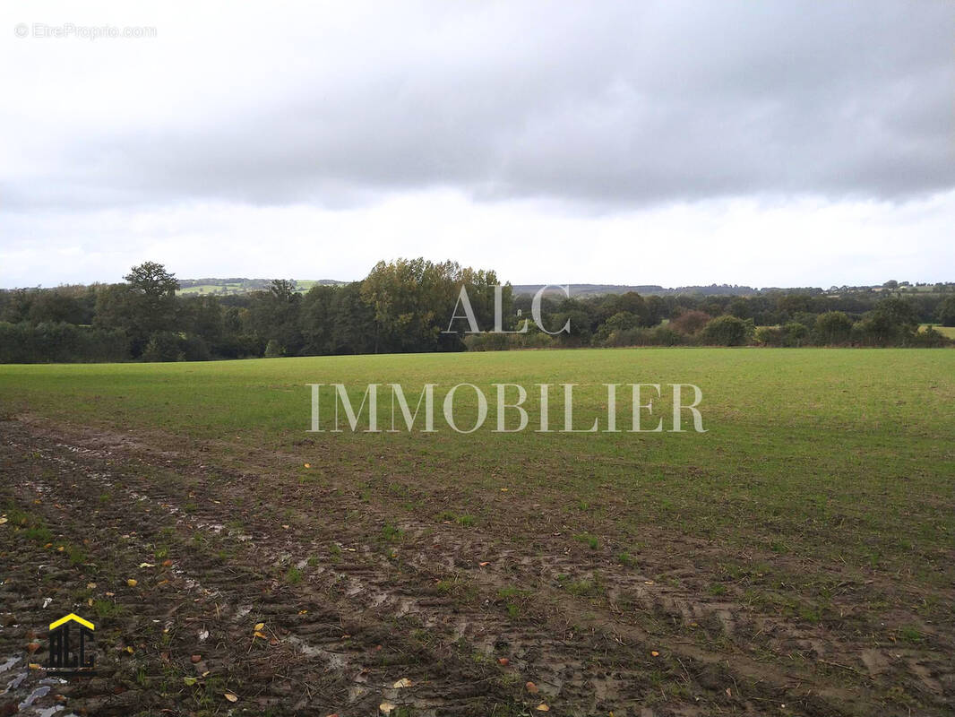 Maison à LOUPFOUGERES