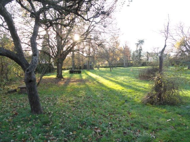 Terrain à VIEUX-CHARMONT