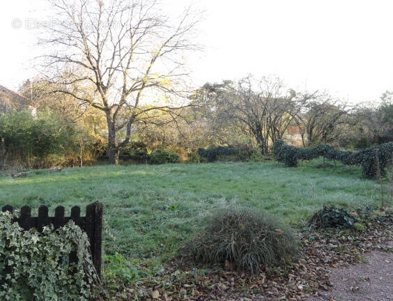 Terrain à VIEUX-CHARMONT