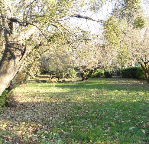 Terrain à VIEUX-CHARMONT