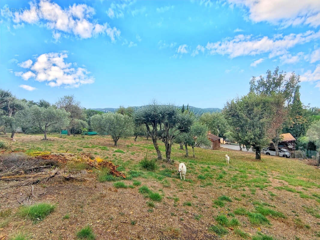 Maison à BAGNOLS-EN-FORET