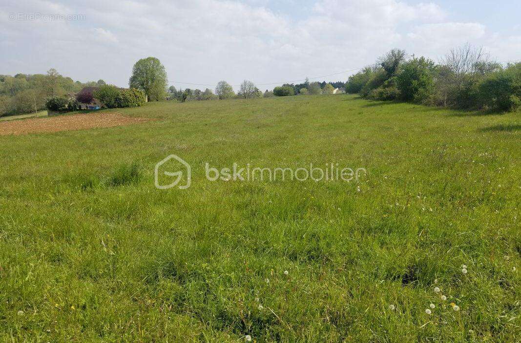 Terrain à BELVES