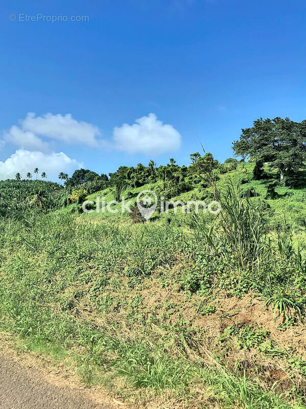 Terrain à CAPESTERRE-BELLE-EAU