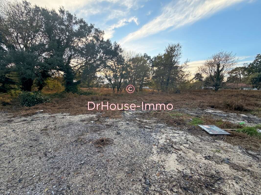 Terrain à MESSANGES