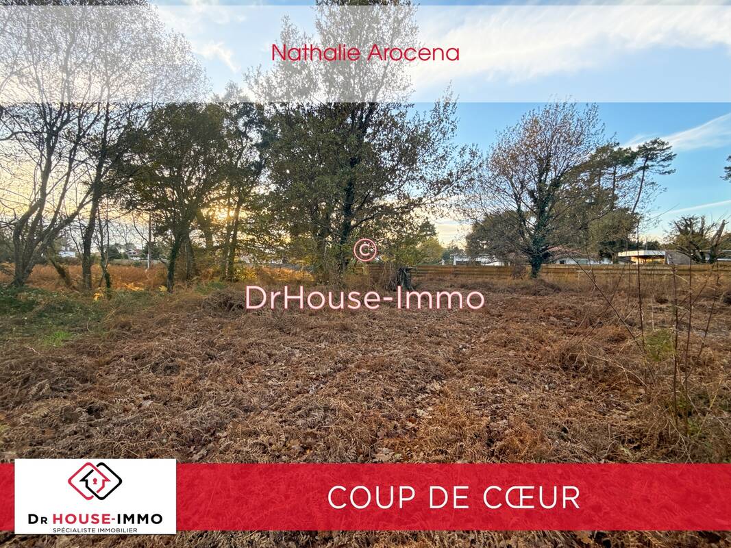 Terrain à MESSANGES