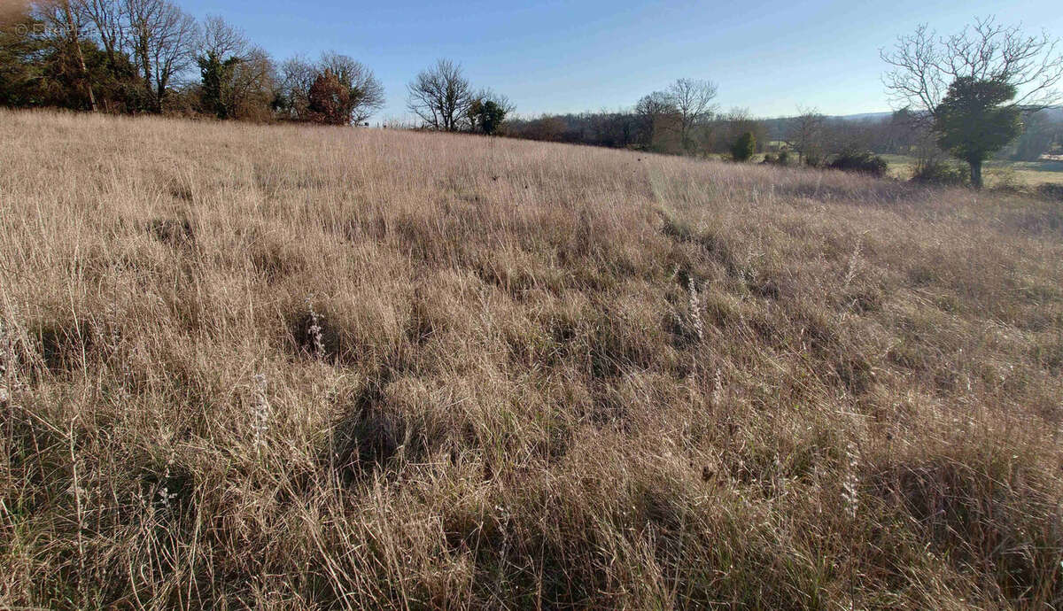 Terrain à MONTSALES