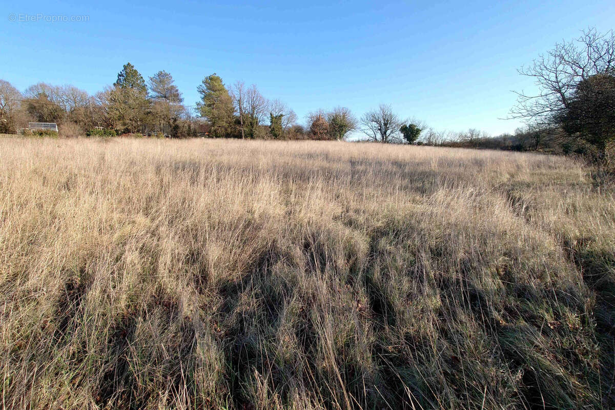 Terrain à MONTSALES