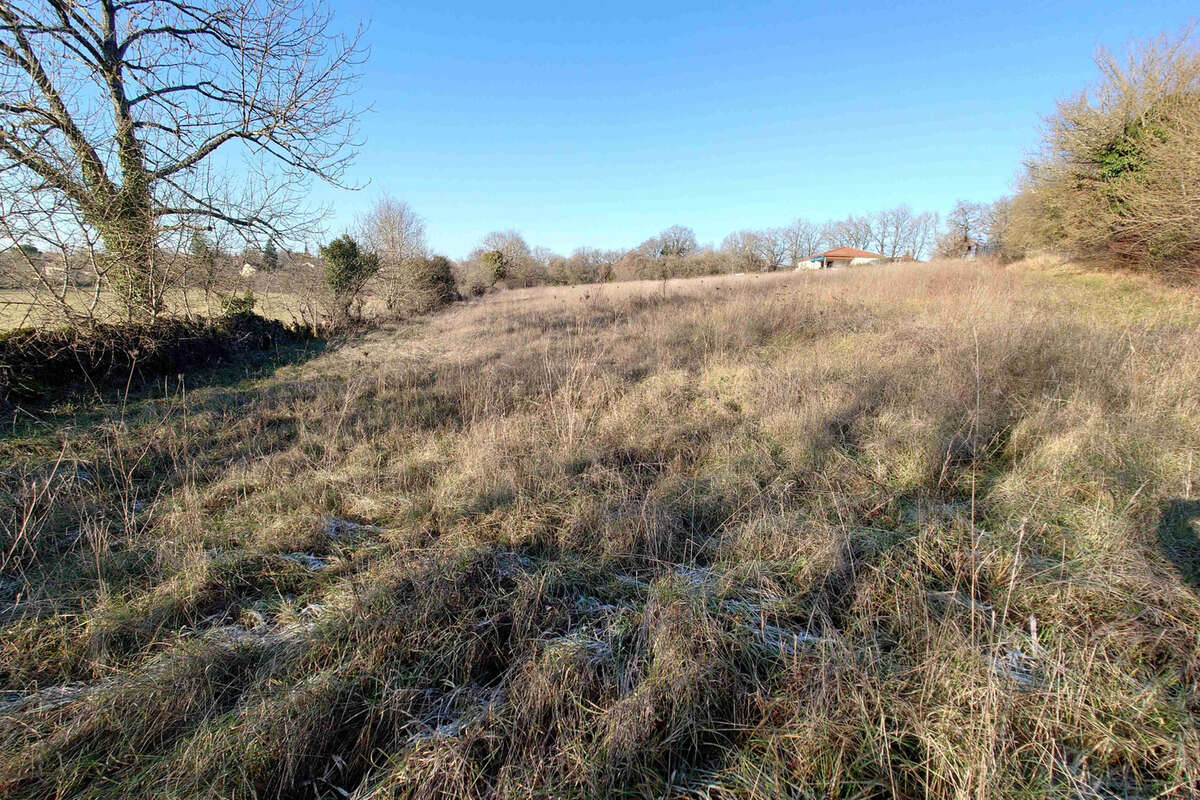 Terrain à MONTSALES