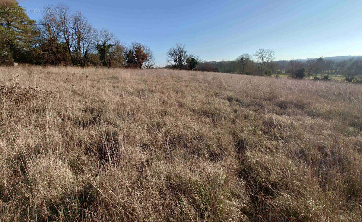 Terrain à MONTSALES