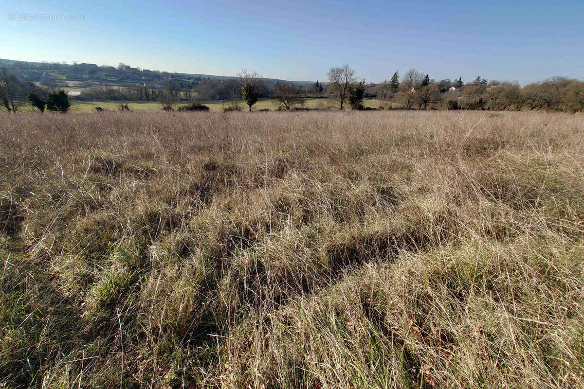 Terrain à MONTSALES
