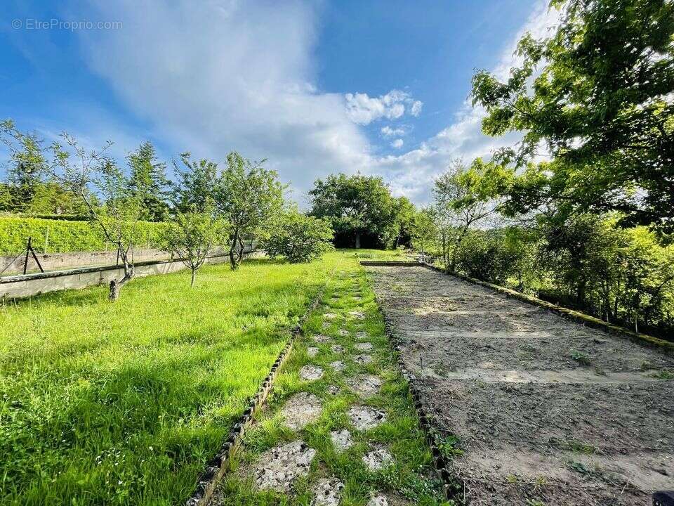 Maison,5 chambres, veranda, grand terrain, vue montagne, La - Maison à LA ROCHE-VINEUSE