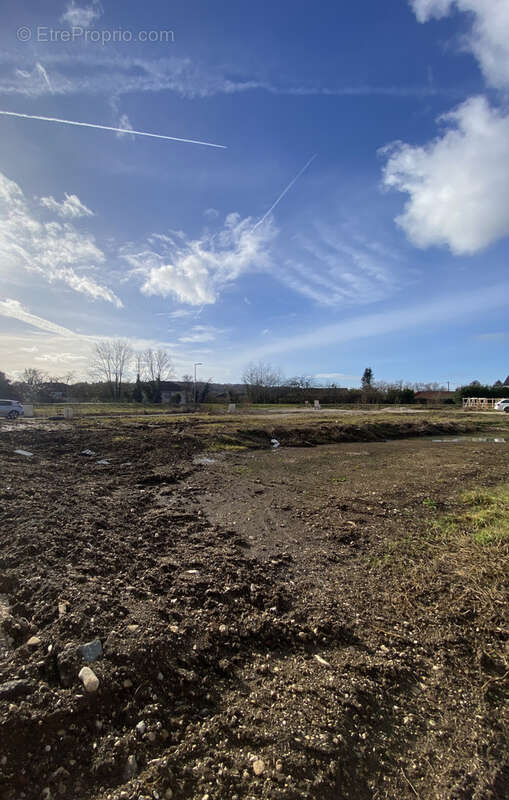 Terrain à ARBOUANS