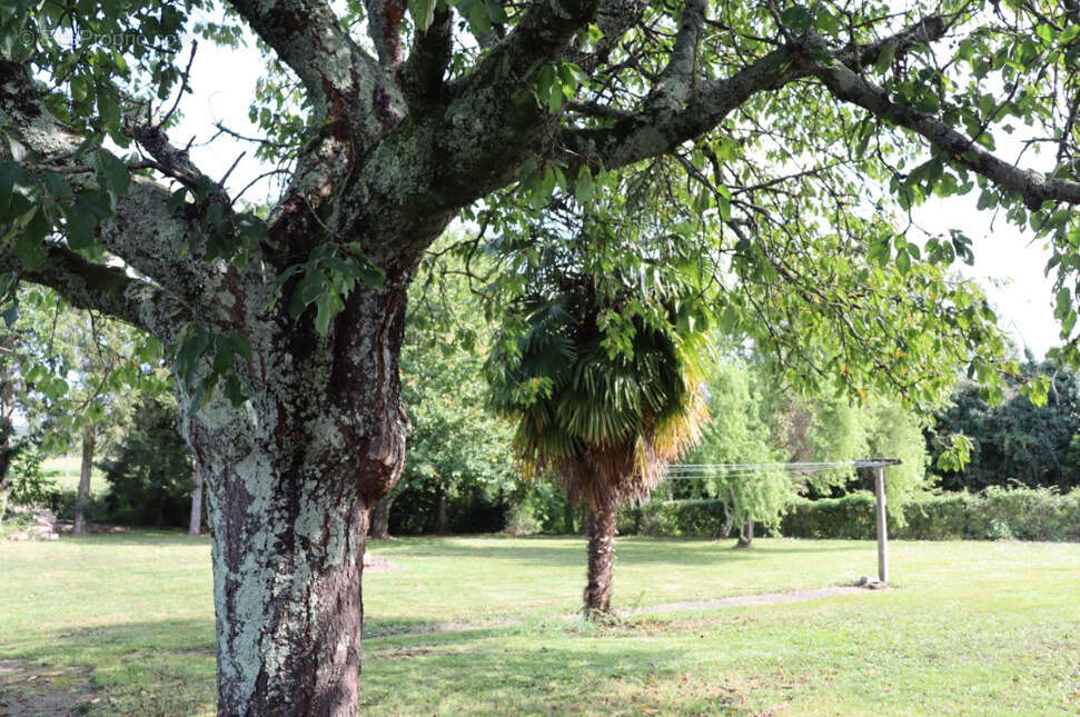 Maison à OLEAC-DESSUS