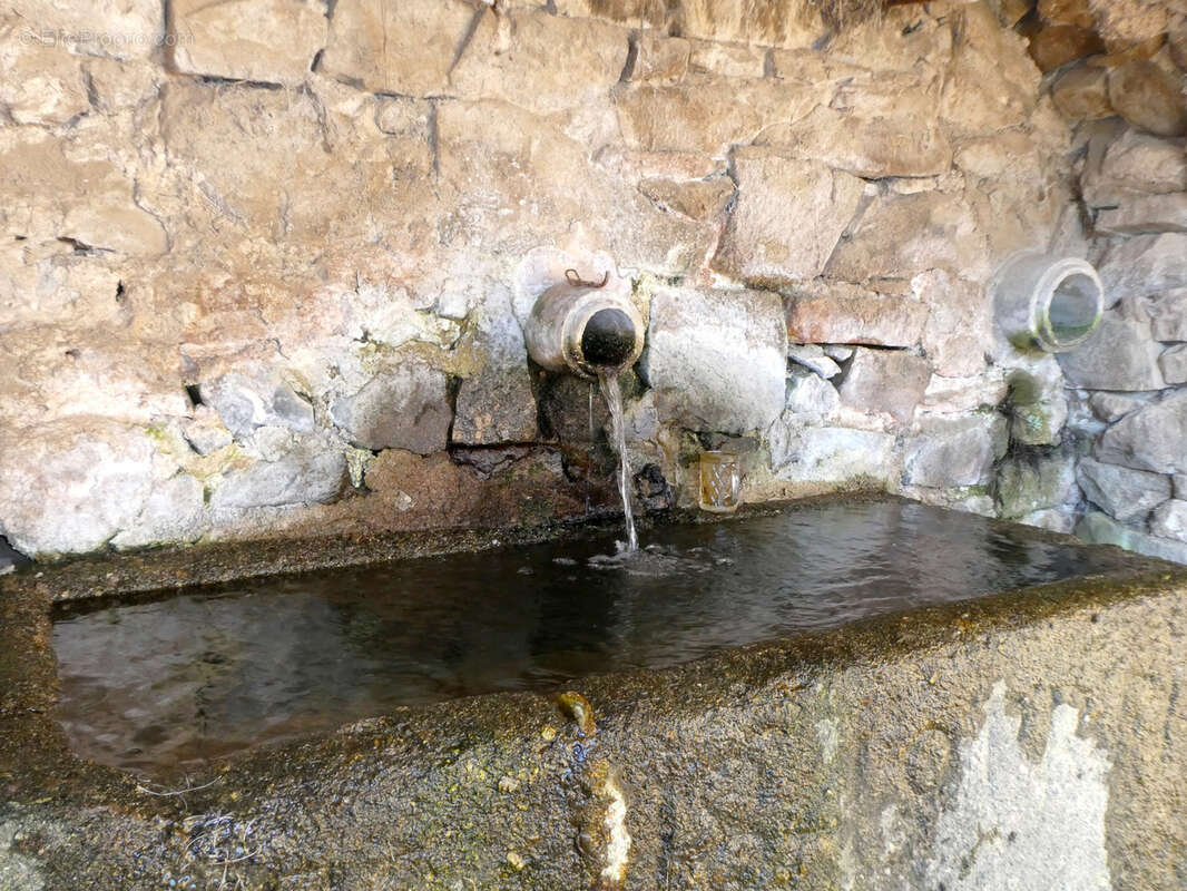 Maison à SAINT-LAURENT-DE-CHAMOUSSET