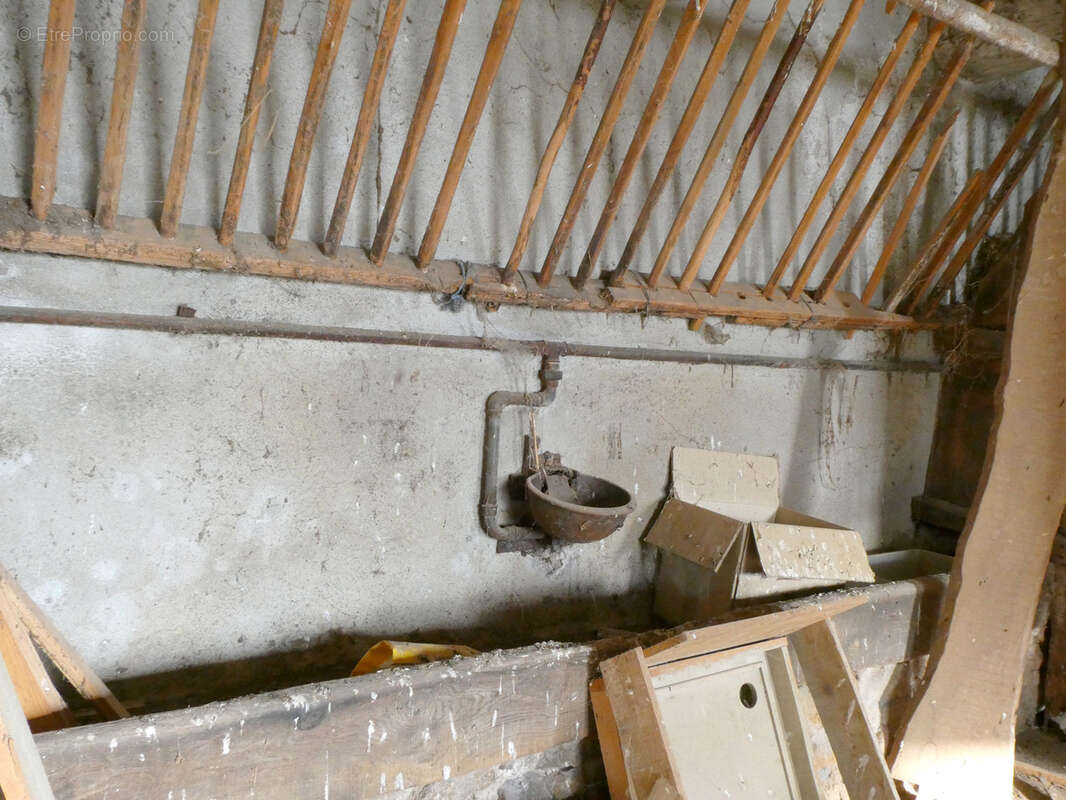 Maison à SAINT-LAURENT-DE-CHAMOUSSET