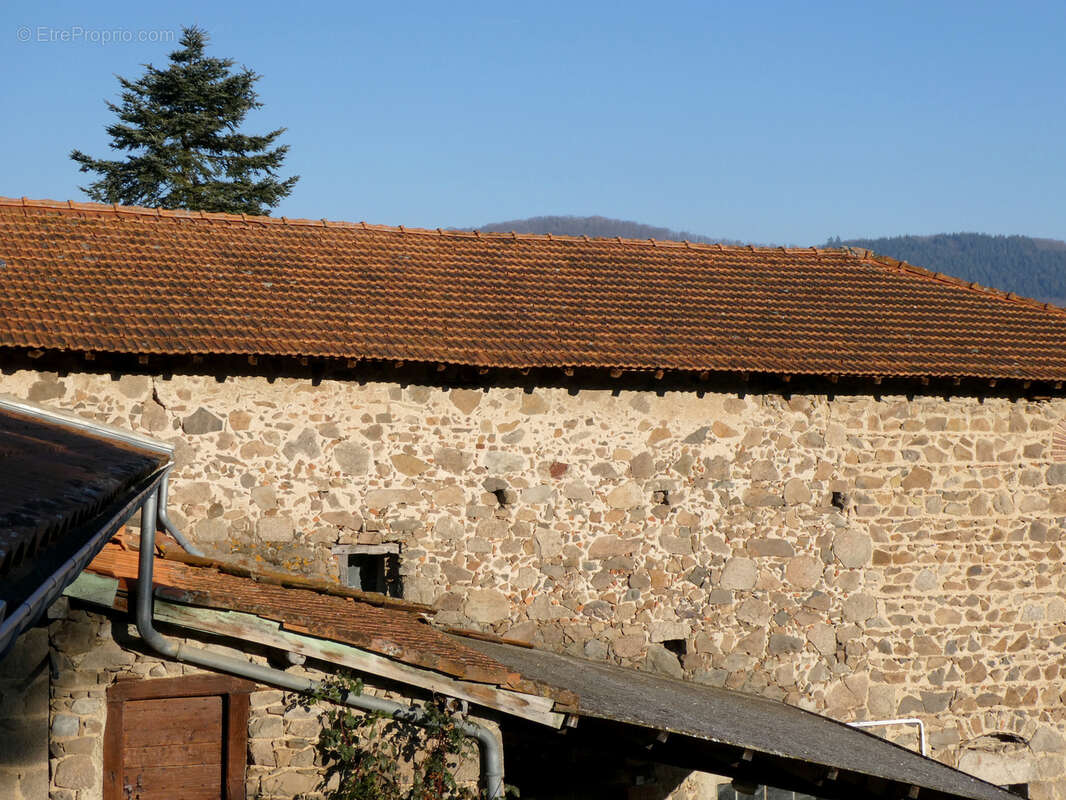 Maison à SAINT-LAURENT-DE-CHAMOUSSET