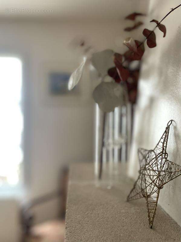 Maison à RIVEDOUX-PLAGE