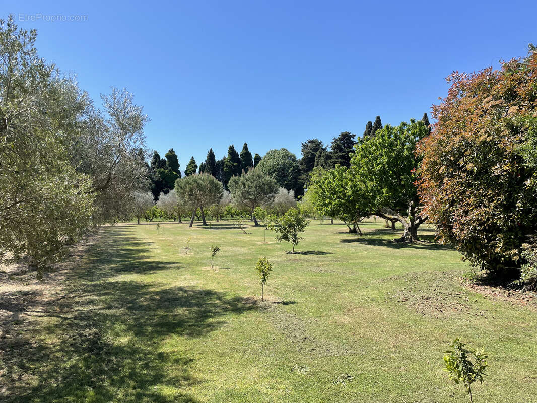 Maison à ARGELES-SUR-MER
