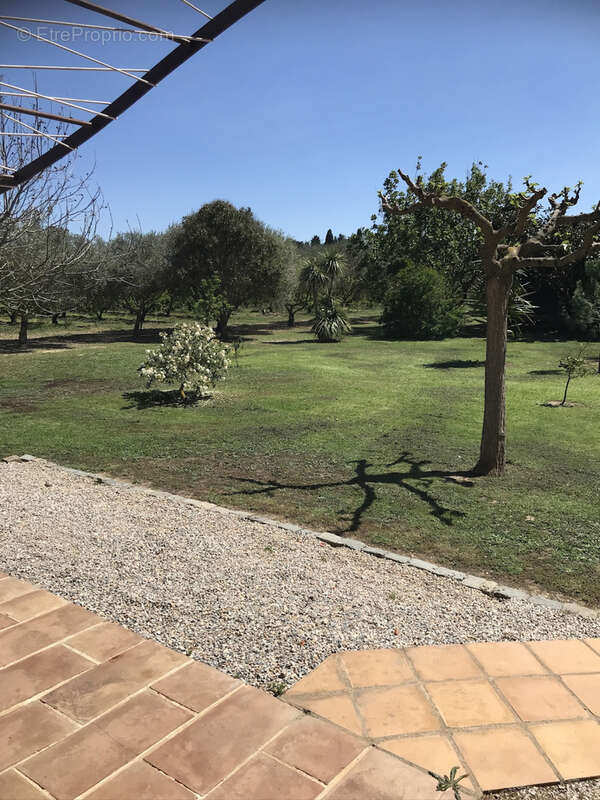 Maison à ARGELES-SUR-MER