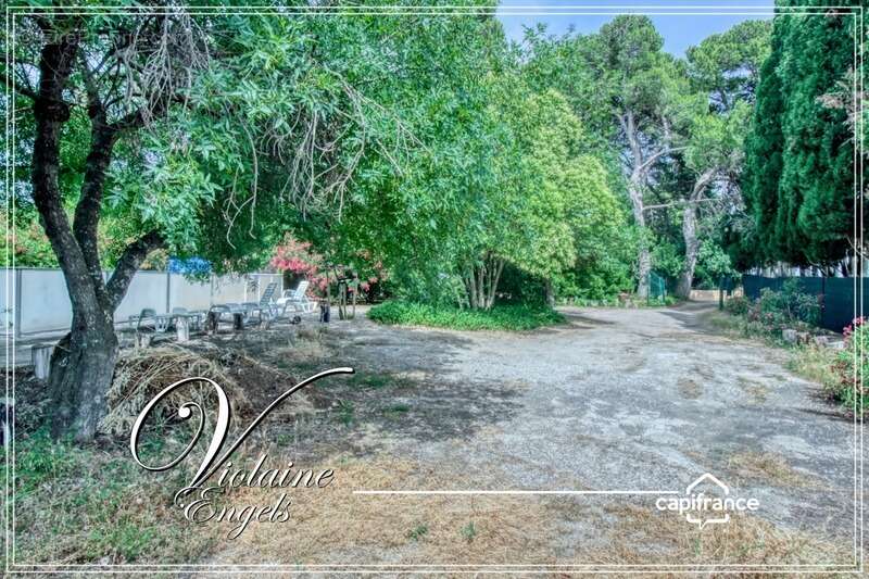 Maison à LA LIVINIERE