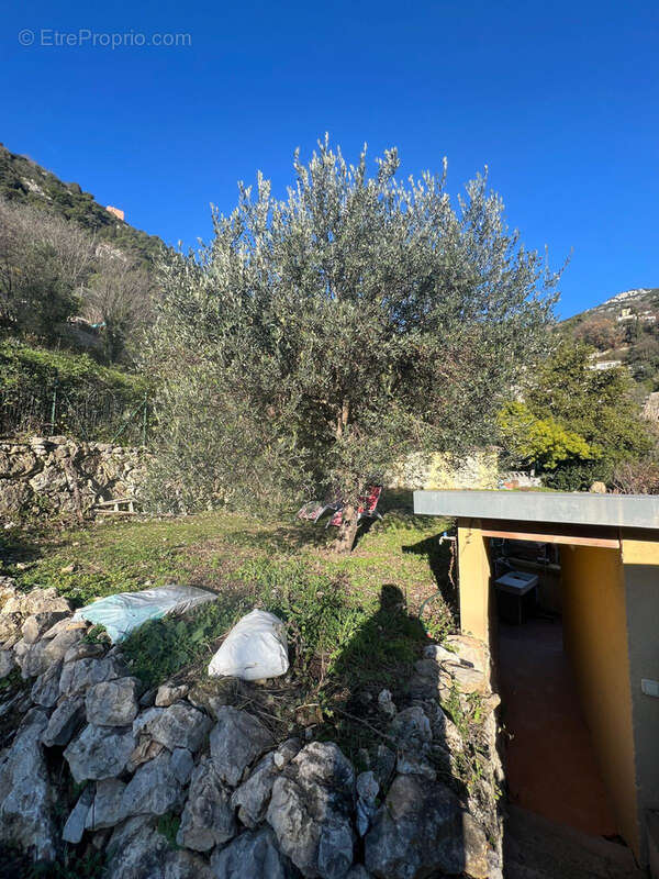 Terrain à LA TURBIE