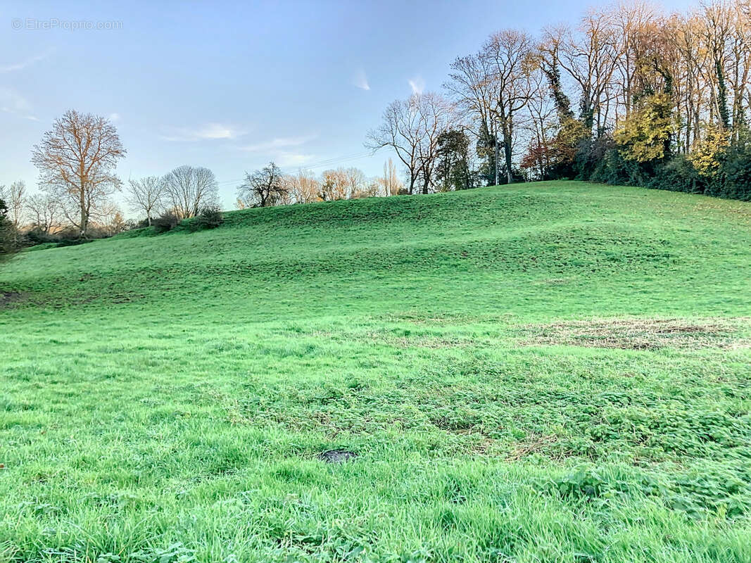 Terrain à HUCHENNEVILLE
