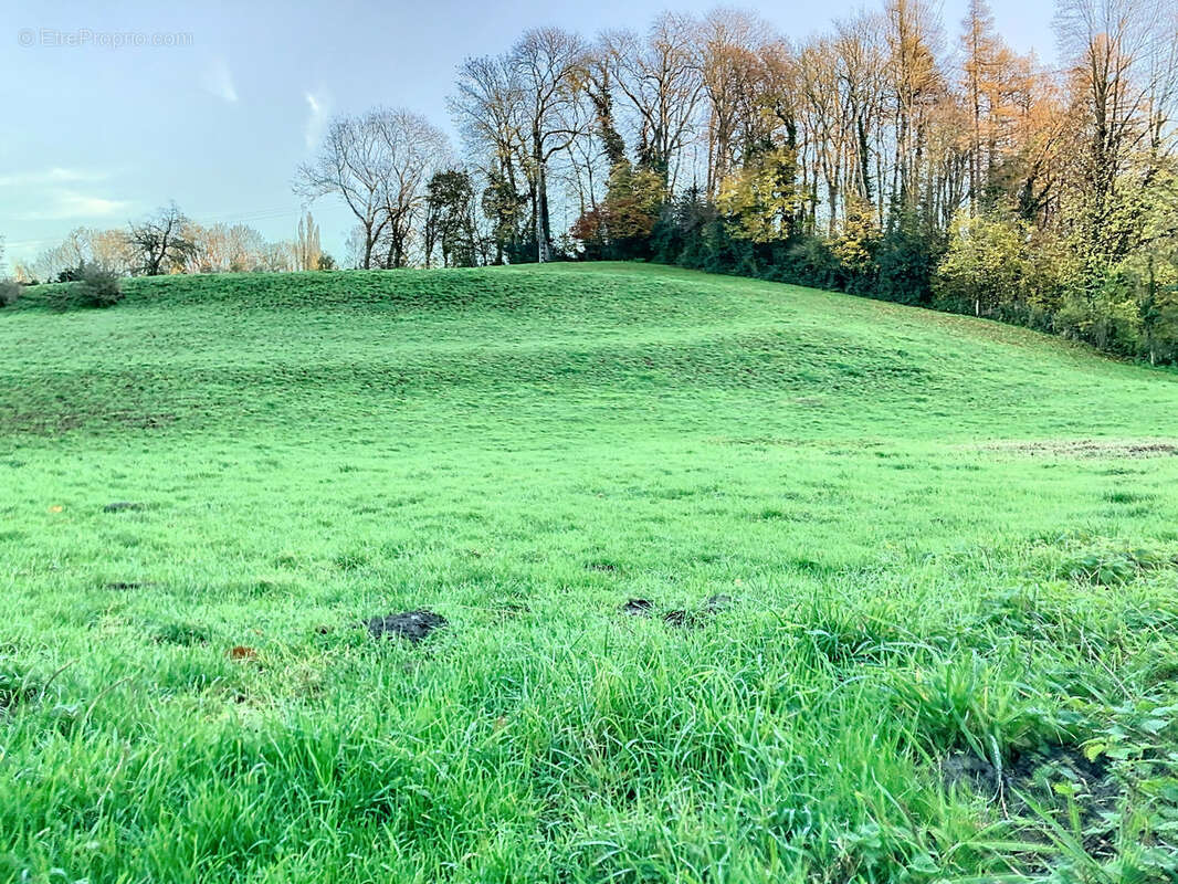 Terrain à HUCHENNEVILLE