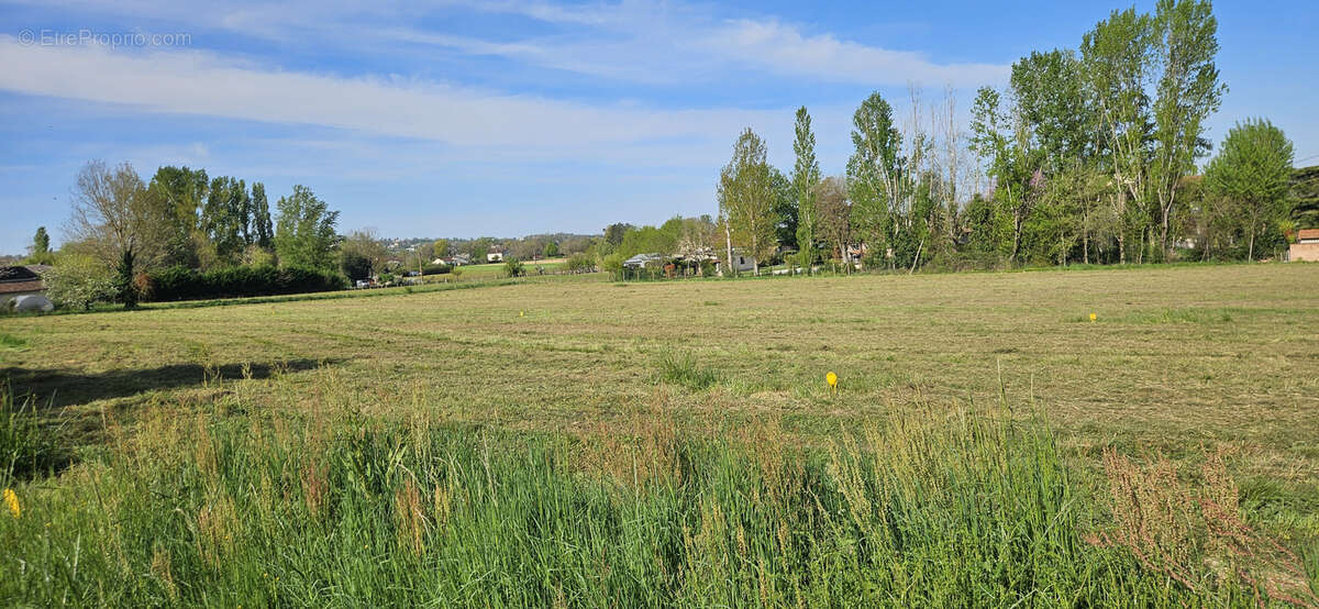 Terrain à ALBI
