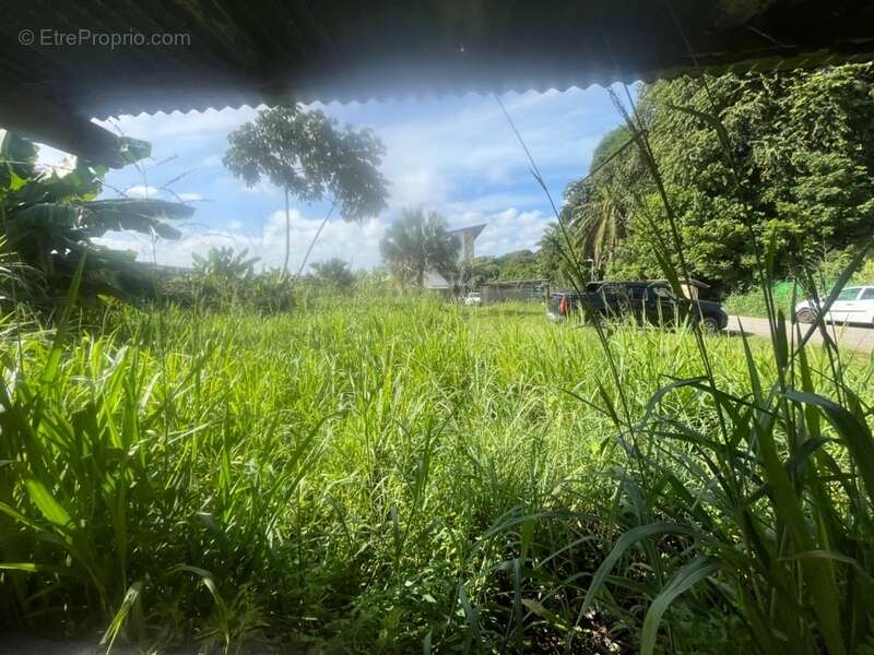 Appartement à CAYENNE