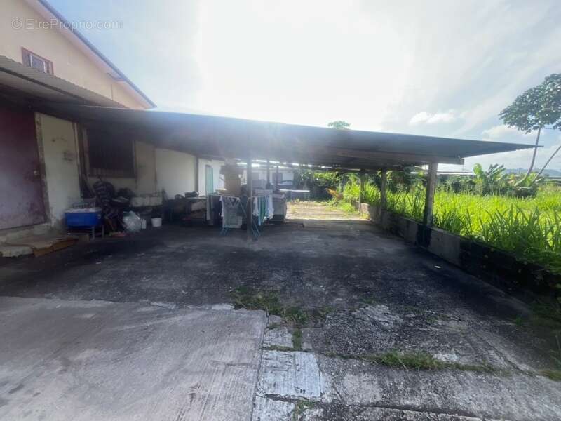 Appartement à CAYENNE